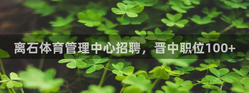 必一体育网页版登录：