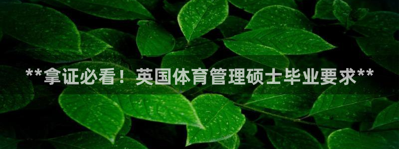 必一体育登录APP下载